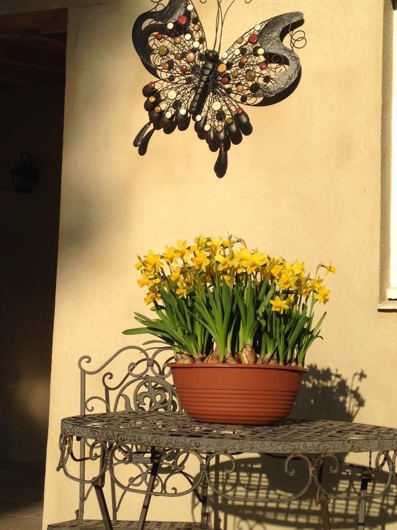 Bed&Breakfast L'Orangerie Carcassonne Exterior foto